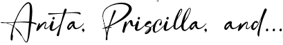 anita logo