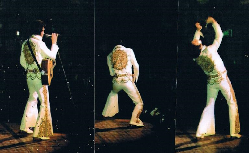 Elvis in concert personal photo