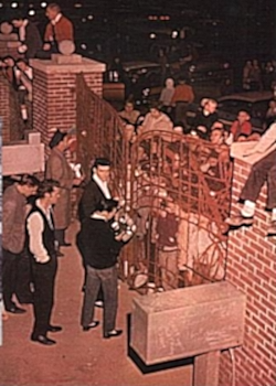 Elvis for president image